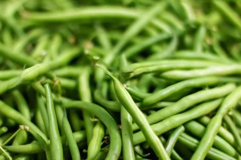 Background from green bean string. Close up. Foto stock
