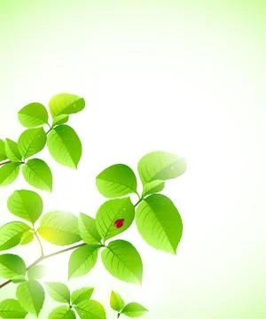 Background with green branch Stock Illustration