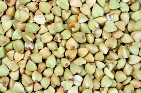 Background of green buckwheat Stock Photos