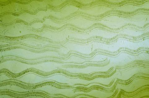 Background green cement wall texture. Stock Photos