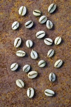 Background of    green coffee beans on rustic iron Stock Photos