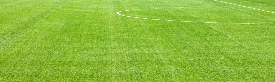 Background of green field Stock Photos