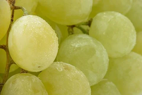 Background from green grapes. Close up Stock Photos