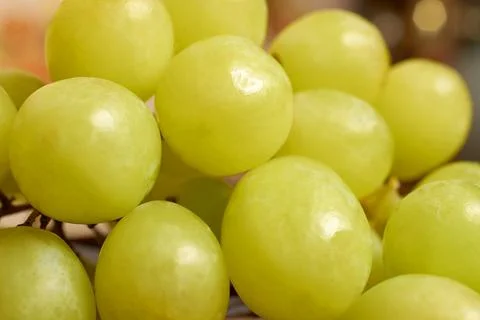 Background of green grapes in close-up. Selective focus, horizontal format Stock Photos