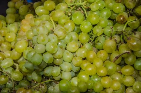 Background of green grapes Stock Photos