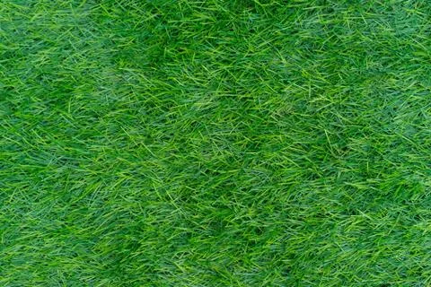 Background of green grass. decorative artificial grass Foto stock