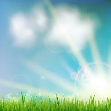 Background With Green Grass. Stock Illustration