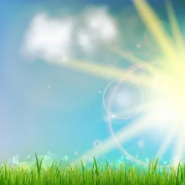 Background With Green Grass. Stock Illustration