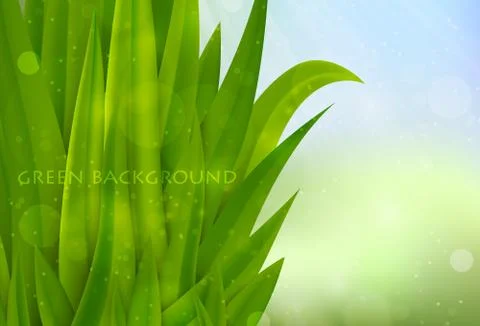 Background of green grass Stock Illustration