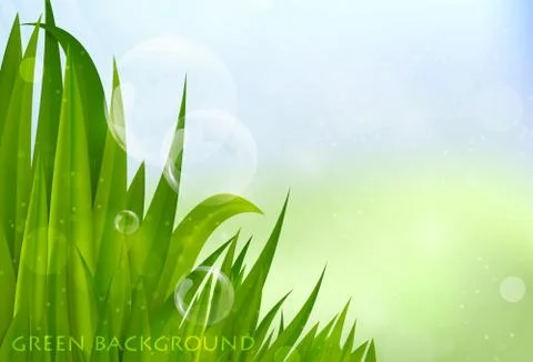 Background of green grass Stock Illustration
