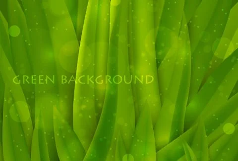 Background of green grass Stock Illustration