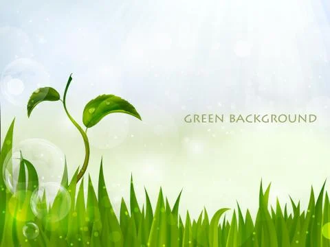 Background of green grass Stock Illustration