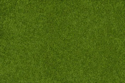 Background from green grass Foto stock