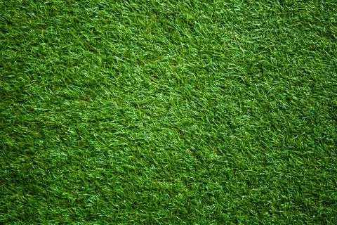 Background of a green grass Stock Photos