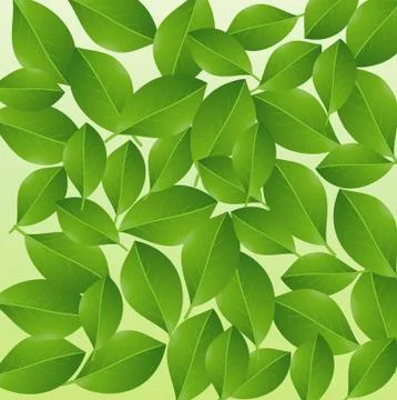 Background with green leaves for a design Stock Illustration