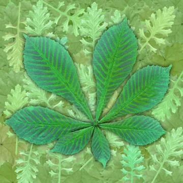 Background, green leaves Stock Illustration