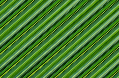 Background green palm texture diagonal lines endless vegetable pattern image Illustrazione stock