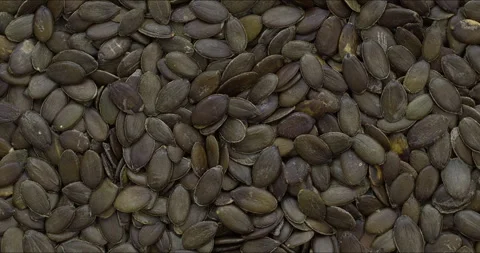 Background of green pumpkin seeds. Stock Footage 310432633