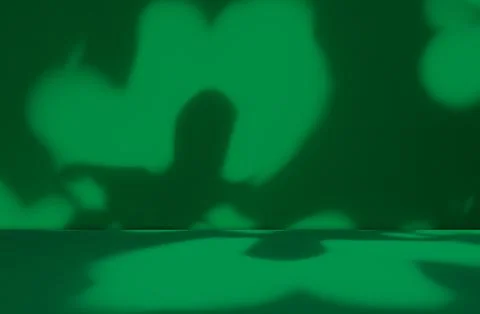 Background green shadow floor studio room photo empty gradient leaf Floor 스톡 일러스트