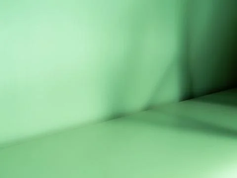 Background green shadow floor studio room photo empty gradient leaf Floor Stock Illustration