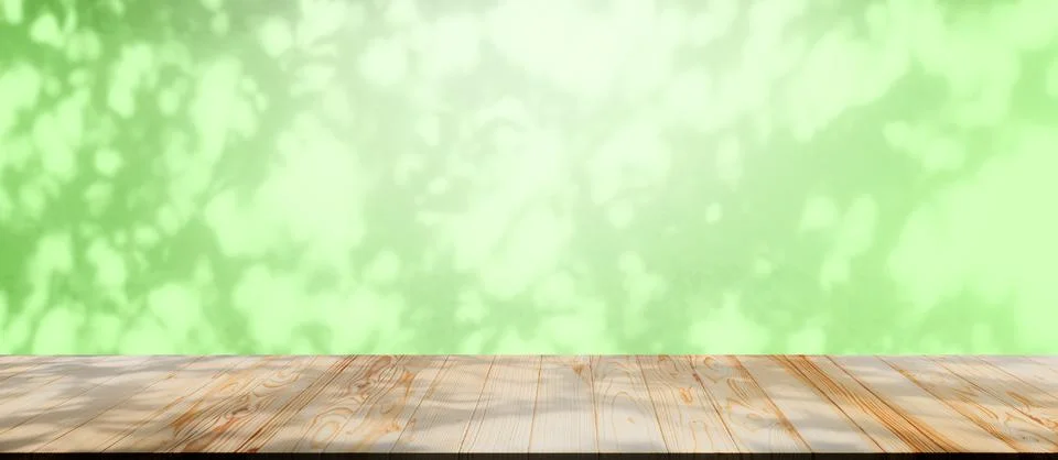Background green shadow floor studio room photo empty gradient leaf Floor Фото