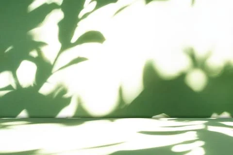 Background green shadow floor studio room photo empty gradient leaf Floor 库存照片