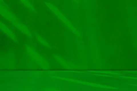Background green shadow floor studio room photo empty gradient leaf Floor 库存照片