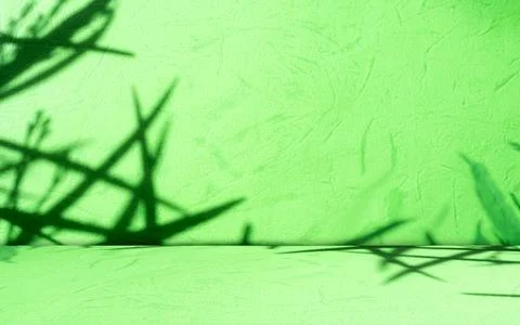 Background green shadow floor studio room photo empty gradient leaf Floor Stock Photos