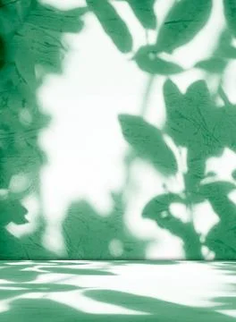 Background green shadow floor studio room photo empty gradient leaf Floor Stock Photos