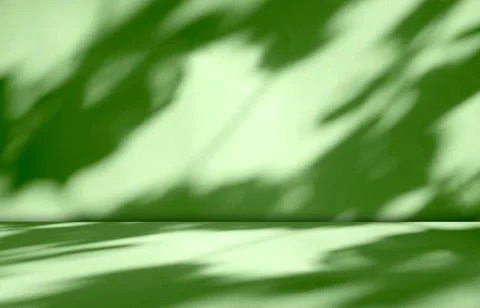 Background green shadow floor studio room photo empty gradient leaf Floor Stock Photos