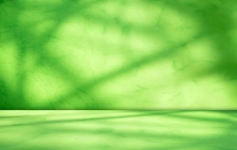 Background green shadow floor studio room photo empty gradient leaf Floor 스톡 사진