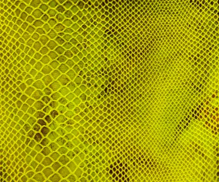 Background of green tissue in the mesh Stock Photos