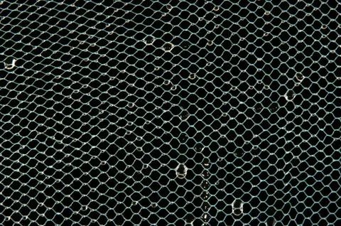 Background of the grid on drops of water 스톡 사진