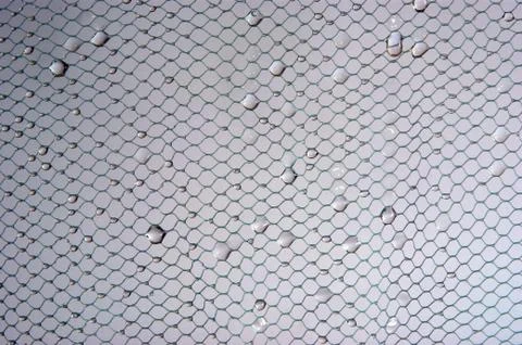 Background of the grid on drops of water Stock Photos