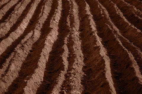 Background, Ground and Sand Texture in the Color of the Year 2025 Mocha Mousse Stock Photos