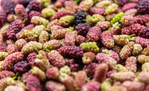 Background with grouped and overlapping fresh blackberry fruits Stock-Fotos