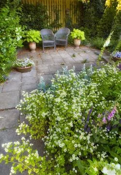 Background, growth and spring with plants in backyard of home for gardening.. Stock Photos