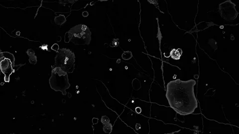Background grunge r  (13) Stock Footage 174441000