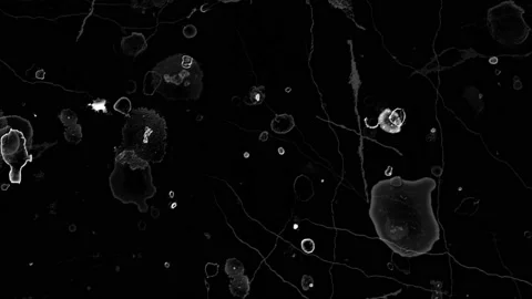 Background grunge r  (14) Stock-Footage 174440964