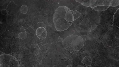 Background grunge r  (3) Stock Footage 174433564