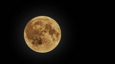 Background for Halloween, the full moon Stock Footage 68586479