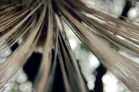 Background. Hammock ropes. Grey cold summer look Stock Photos