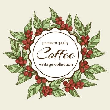 Background with hand drawn coffee plants Illustrazione stock