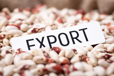 Background of haricot and paper with Export inscription on it Stock Photos