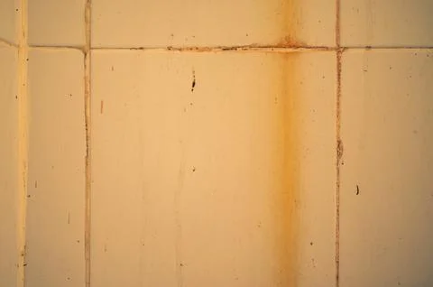 The background has a white pattern contaminated with dirt. Stock Photos