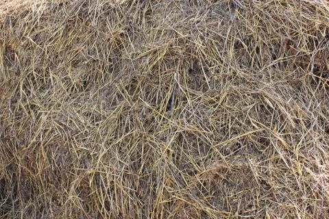 Background of hay Stock Photos