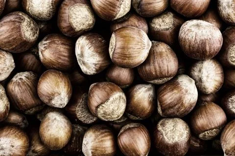 Background hazelnut brown closeup pattern unpeeled shabby much harvest Stock Photos