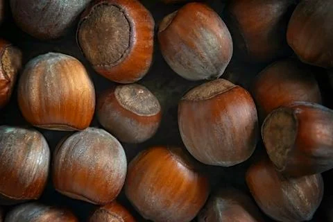 Background from hazelnut hazelnut - hazelnut. Macro. Selective, soft focus Stock Photos