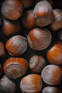 Background from hazelnut hazelnut - hazelnut. Selective, soft focus Stock Photos
