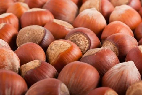 Background of the hazelnuts Stock Photos